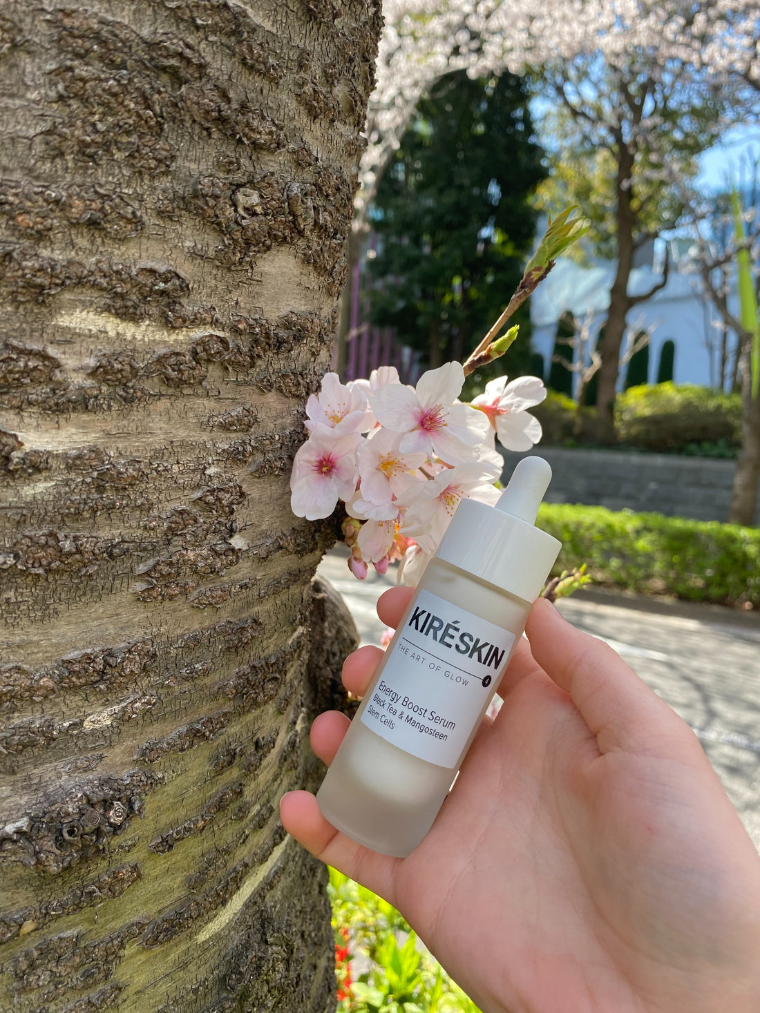 Skuteczna pielęgnacja skóry w późniejszym wieku - jakie są najczęstsze problemy skórne i jak sobie z nimi poradzić?