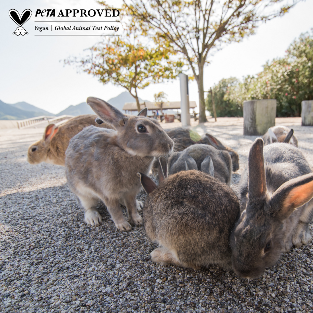 Kire Skin otrzymuje certyfikat PETA jako marka wegańska i cruelty free